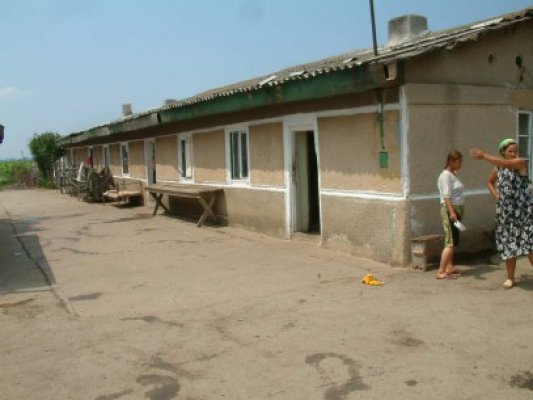 CONDIŢII JALNICE DE TRAI la Ferma 5 din Murfatlar: 16 oameni din Călăraşi, ŢINUŢI ÎNTR-O CAMERĂ INSALUBRĂ